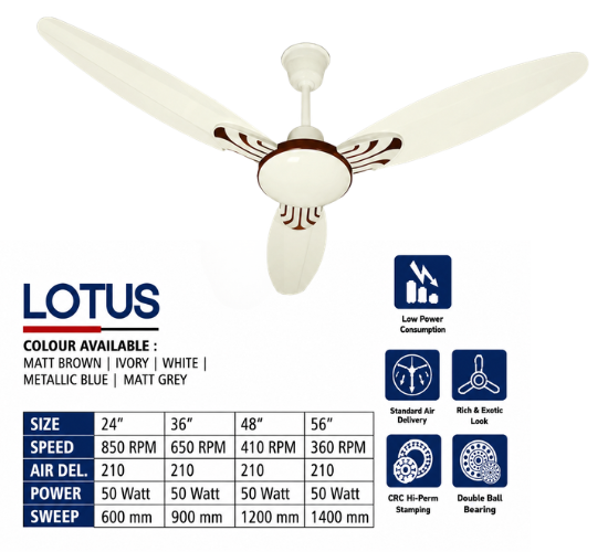 Ceiling Fan for Home