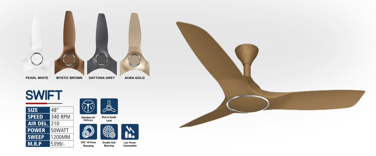 Induction Ceiling Fan